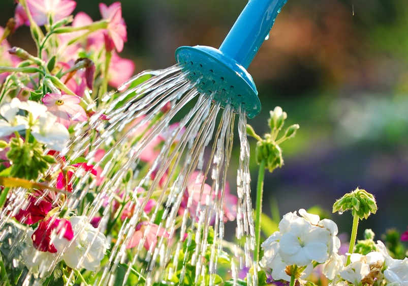 Watering food